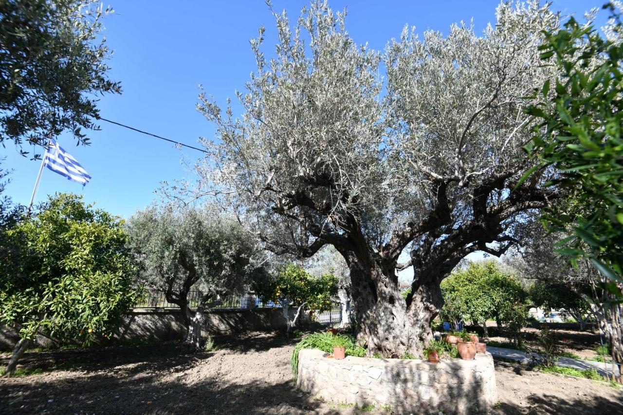Villa Kavalino Κολύμπια Εξωτερικό φωτογραφία
