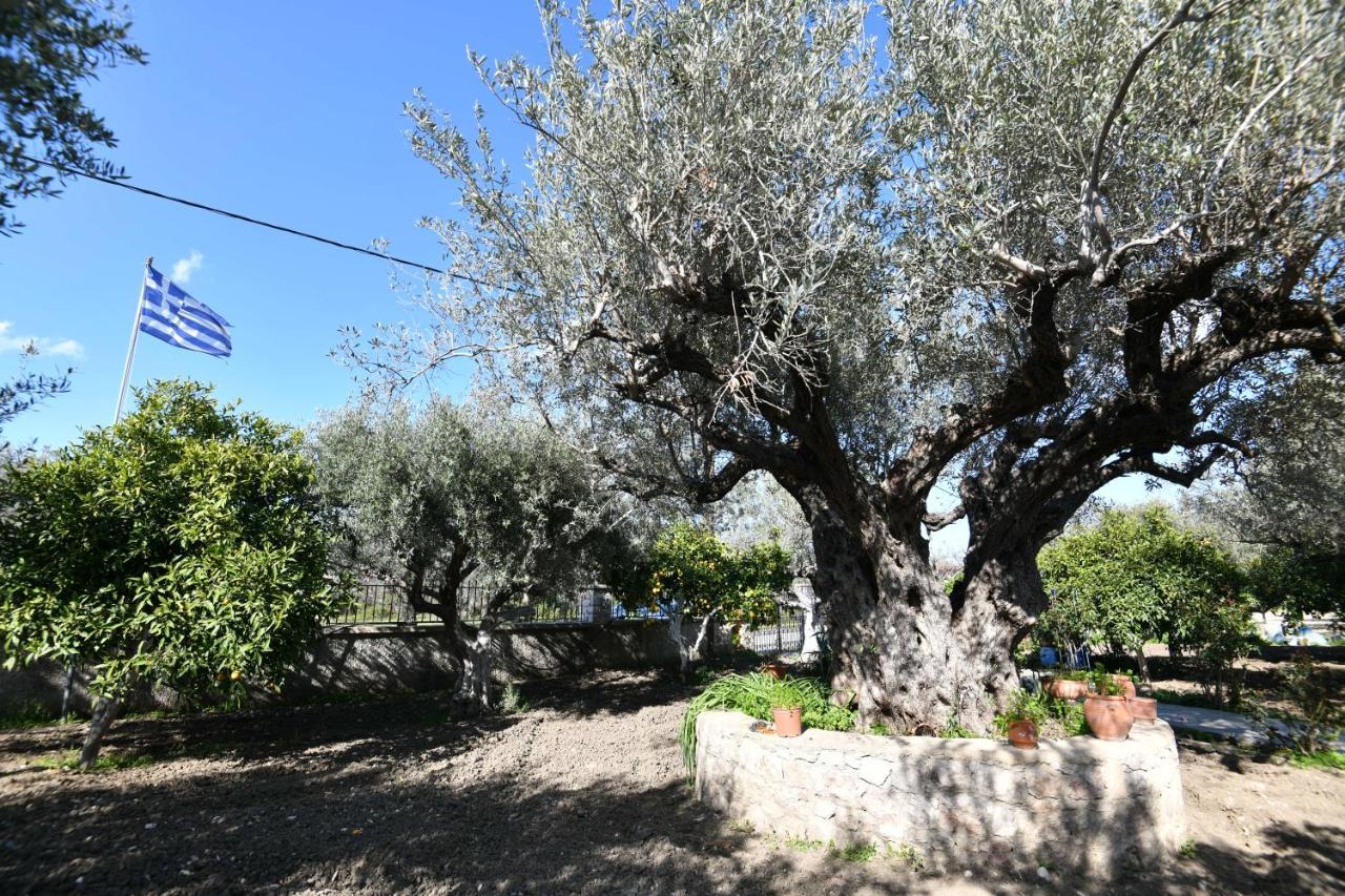 Villa Kavalino Κολύμπια Εξωτερικό φωτογραφία