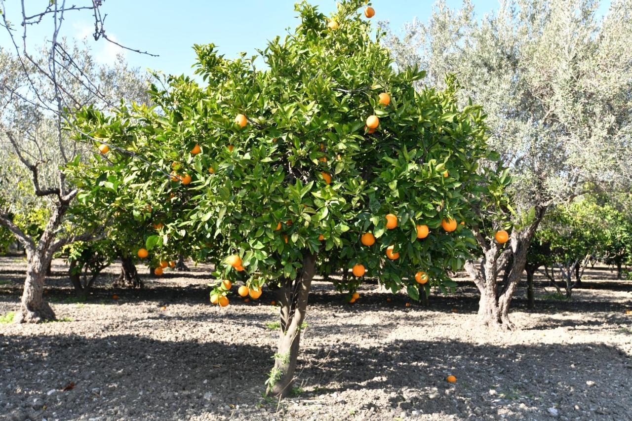 Villa Kavalino Κολύμπια Εξωτερικό φωτογραφία